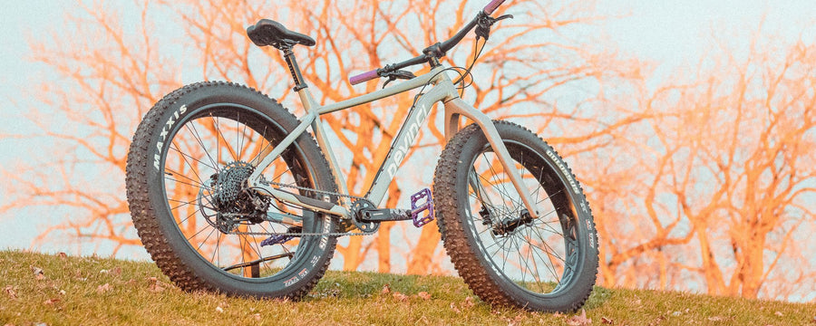 À la découverte du Devinci Minus NX