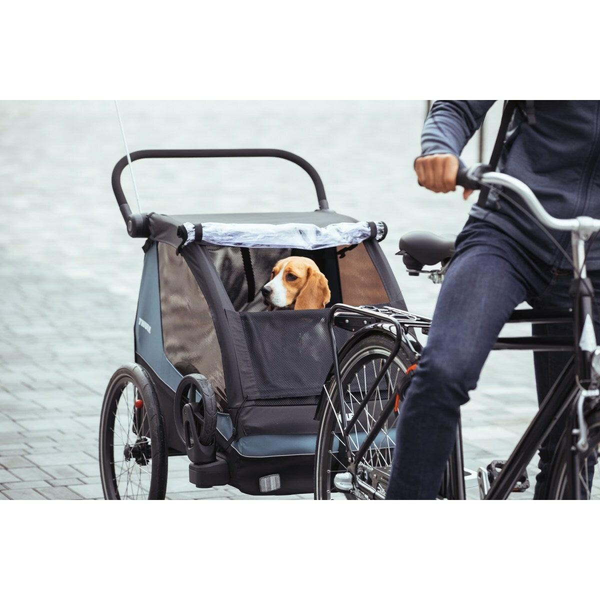 Ensemble de conversion Thule Courier pour chien