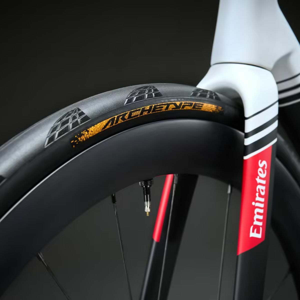 Continental Archetype TR LTD Tire