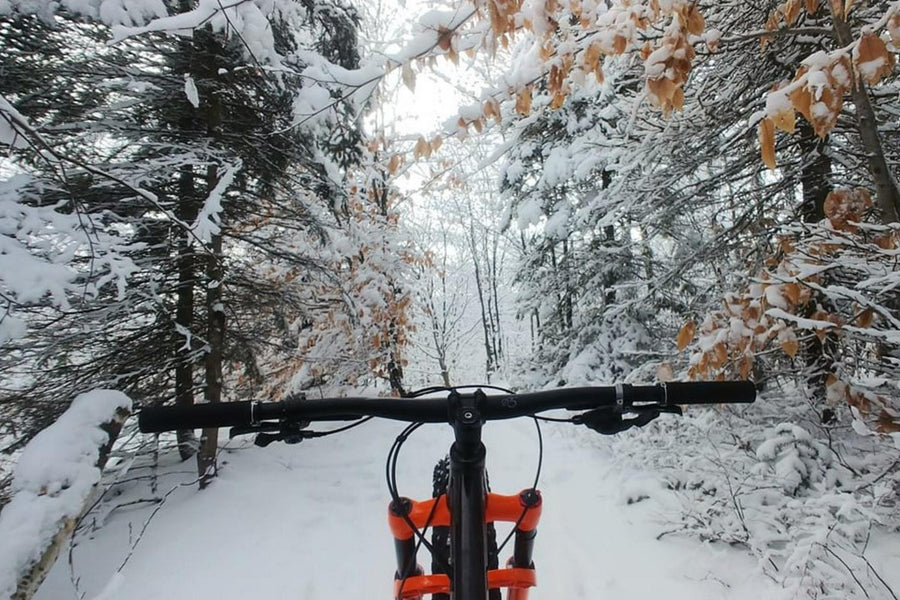 Le guide pour débuter en fatbike
