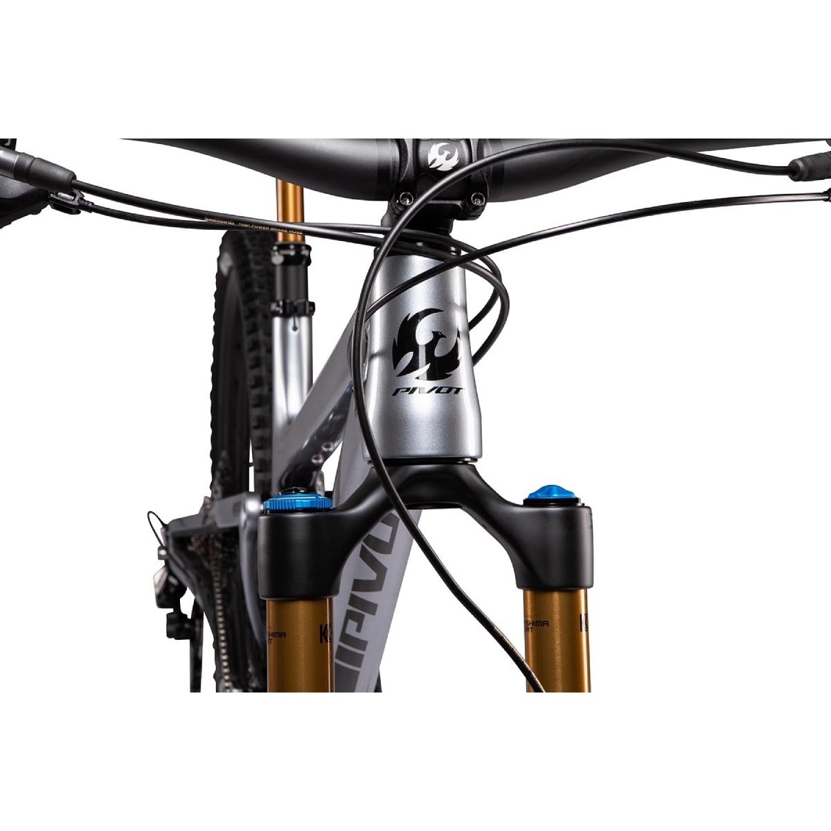 21429T-XT/XTR/E-CARB-02-XL_variant-image_5