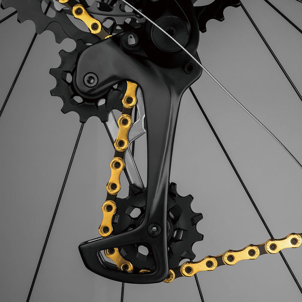 251291-02_product-image_2