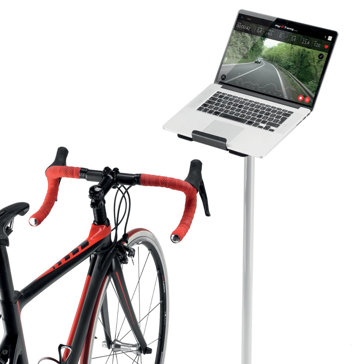 ELI-0143403_product-image_2
