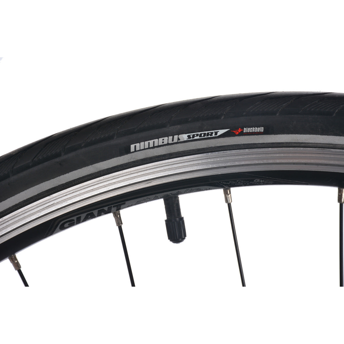 Giant Escape 1 Gris Small 2016