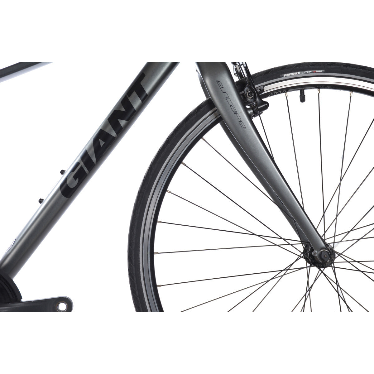 Giant Escape 1 Gris Small 2016