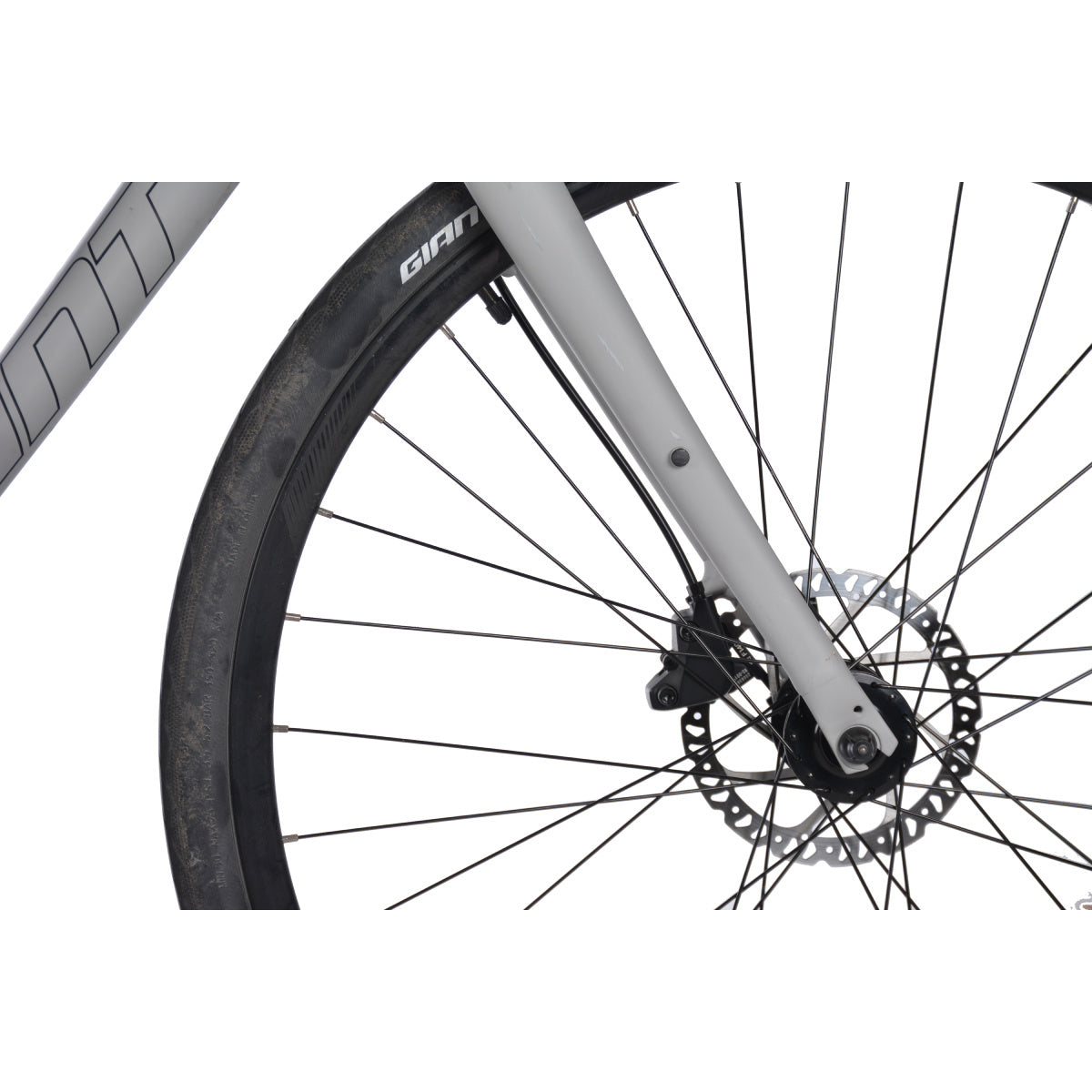 Giant Escape 2 Disc Sable Médium 2021