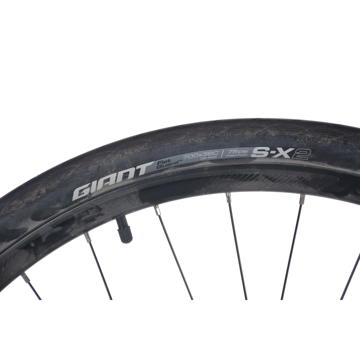 Giant Escape 2 Disc Sable Médium 2021