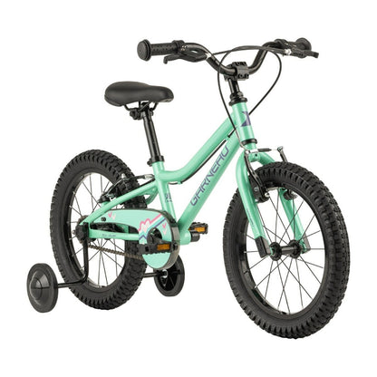 Garneau F16