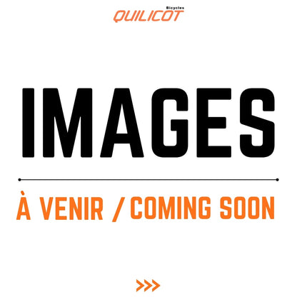 PI-DOGF-27-AQAL-55_variant-image_2_featured