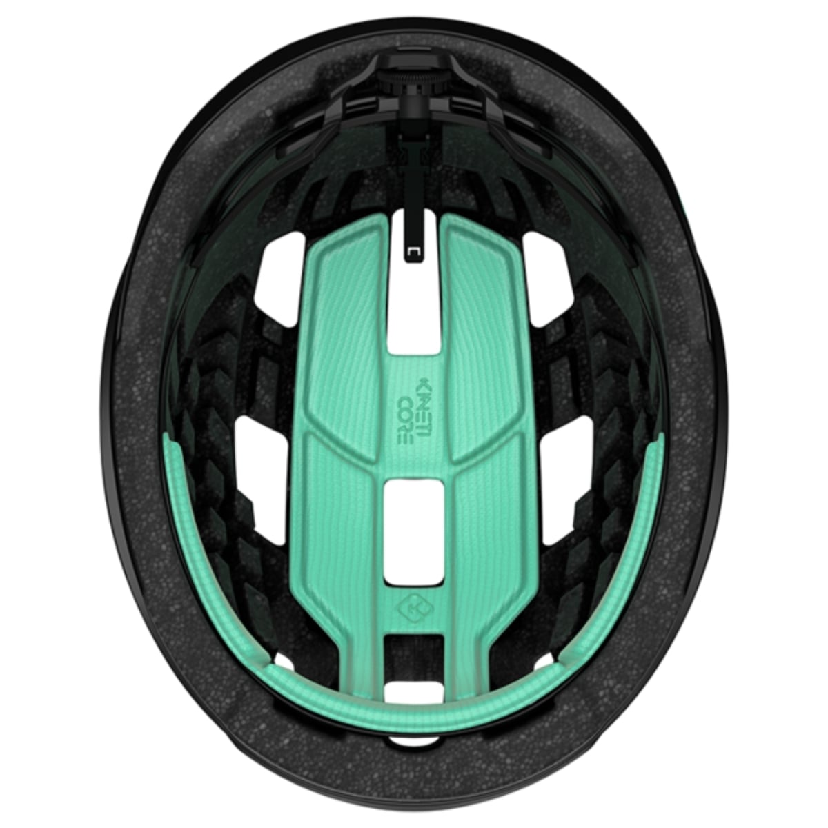 BLC2237891681_variant-image_7