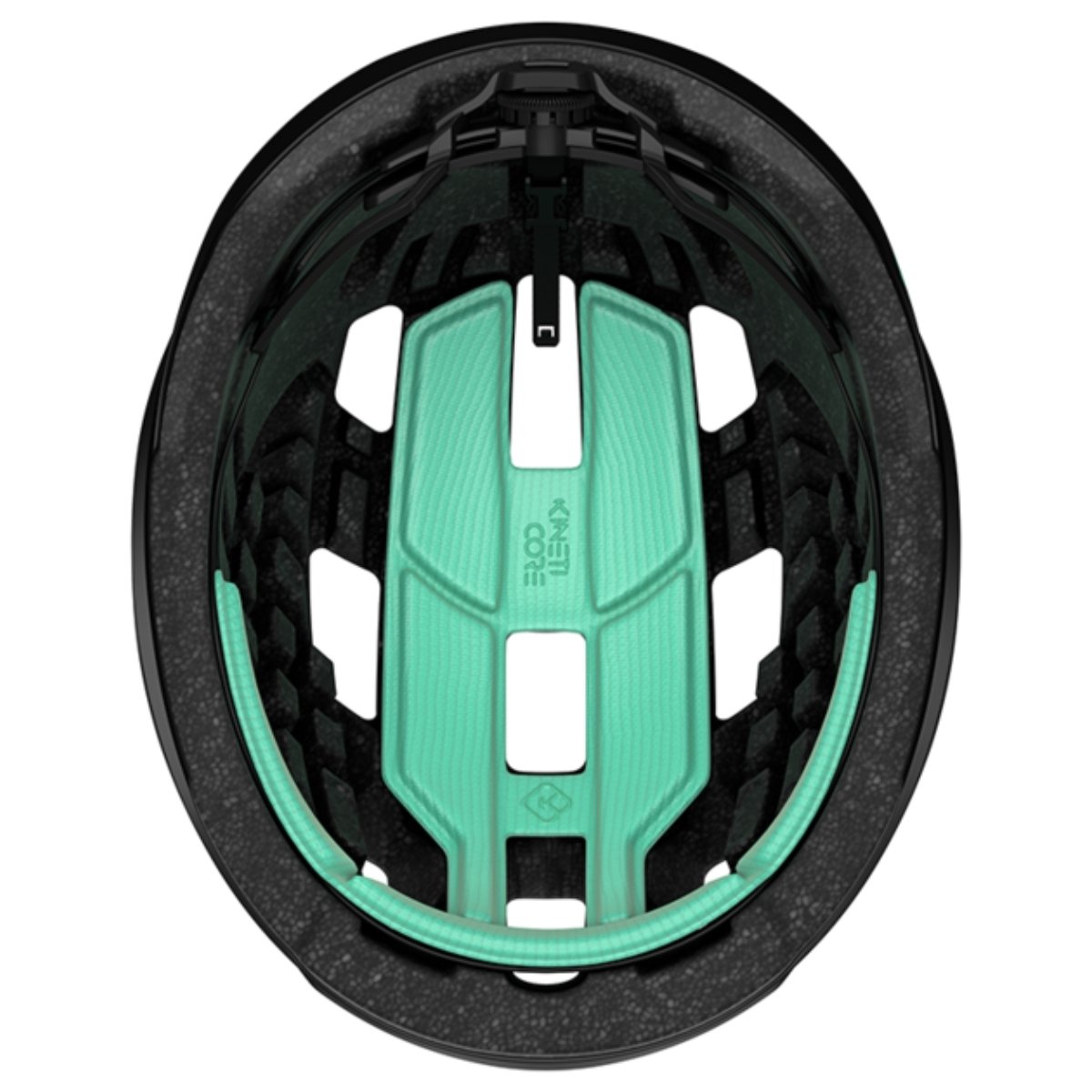 BLC2237891680_variant-image_7