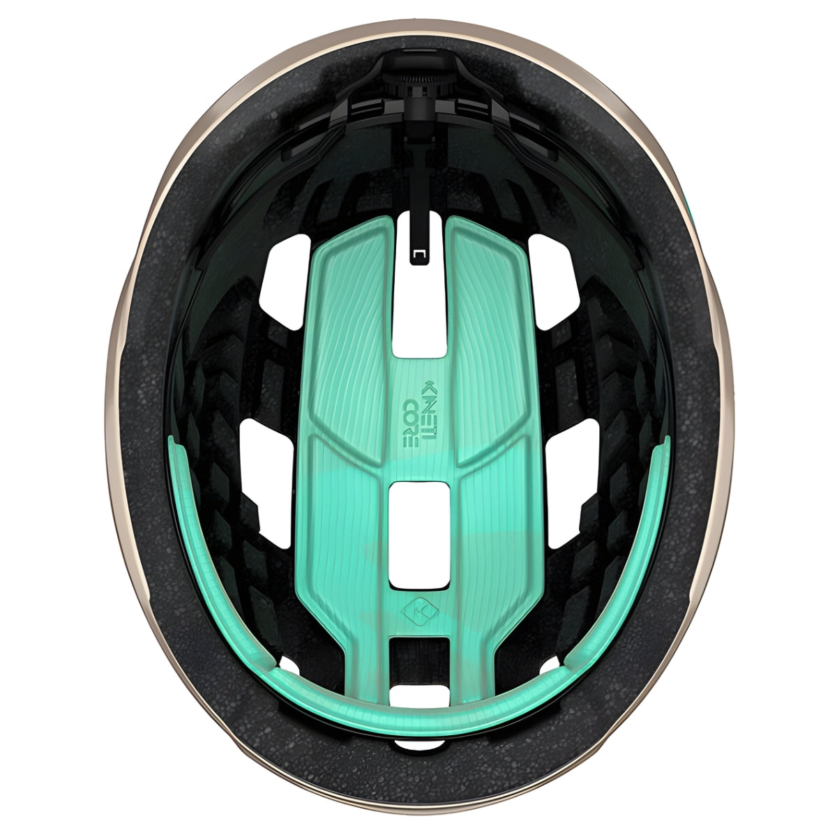 BLC2547893055_variant-image_7