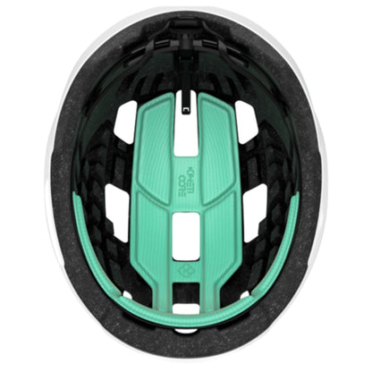 BLC2237891693_variant-image_7