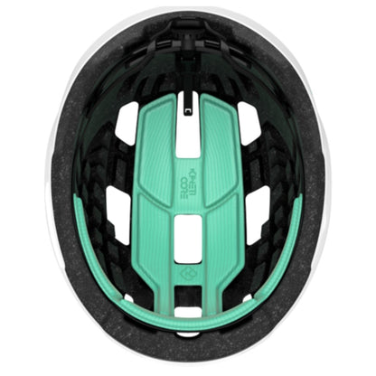 BLC2237891693_variant-image_7