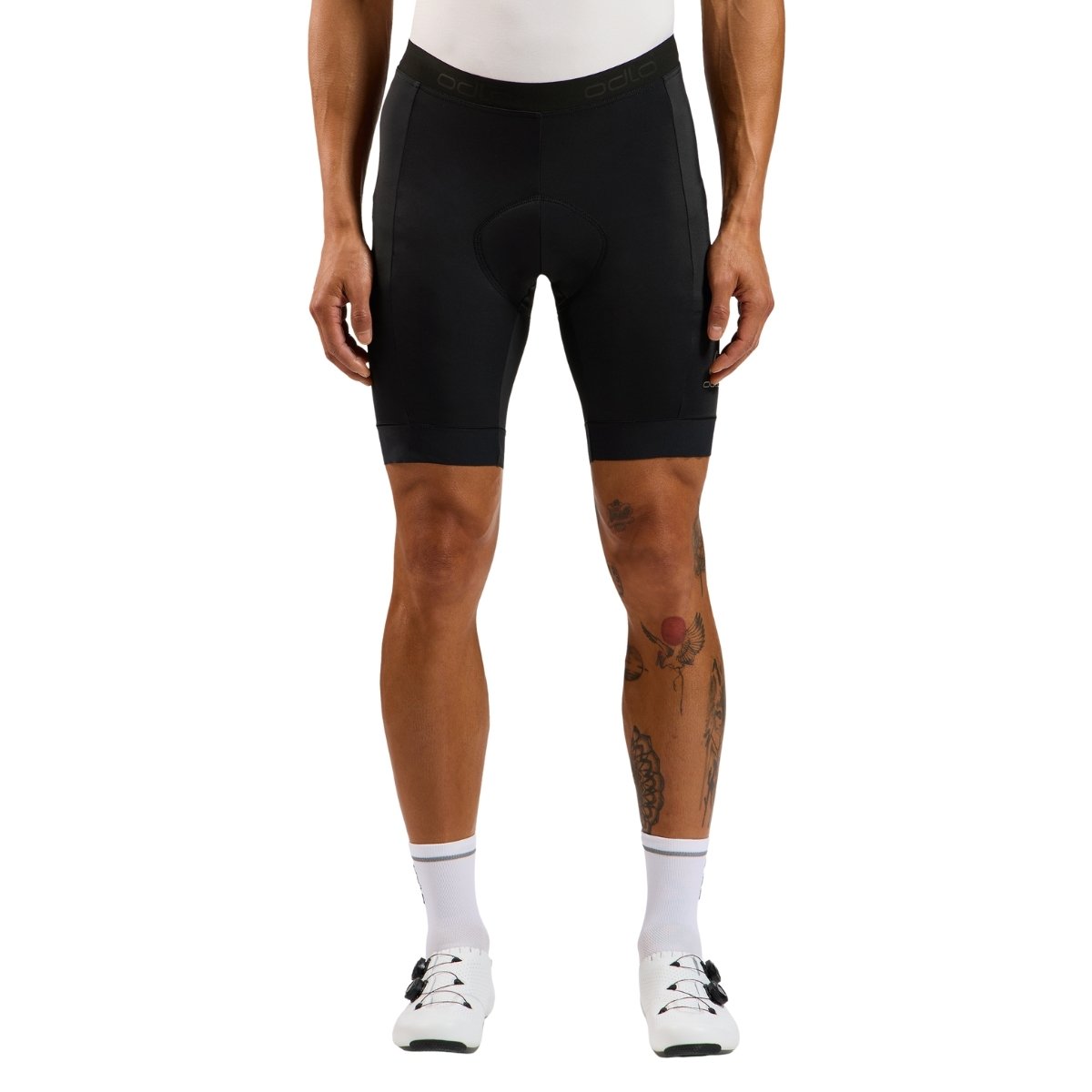 422362-15000-XL_variant-image_5