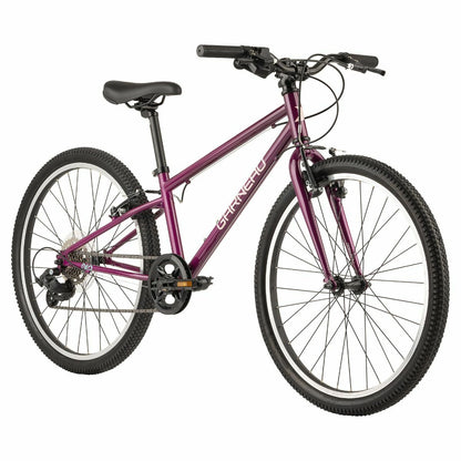 Neo247-25-PUR_variant-image_3