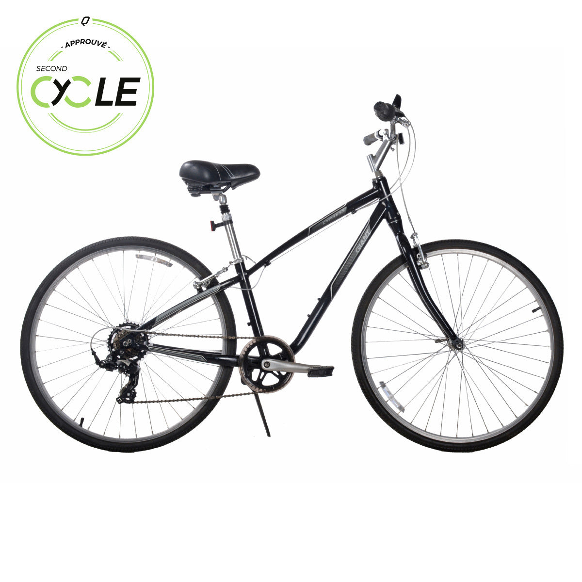 Giant Cypress Noir XS - Occasion