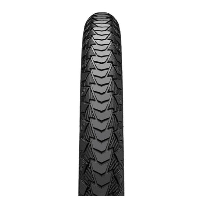 C1302562_product-image_2