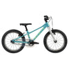 Turquoise/Argent