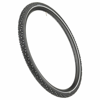 TR4569_variant-image_5