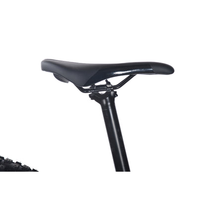 Rocky Mountain Blizzard 20 2022