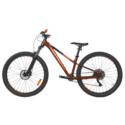 Rocky Mountain Soul 10  2021 - Occasion