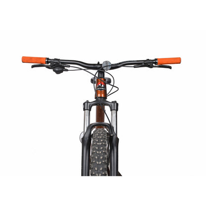 Rocky Mountain Soul 10  2021 - Occasion