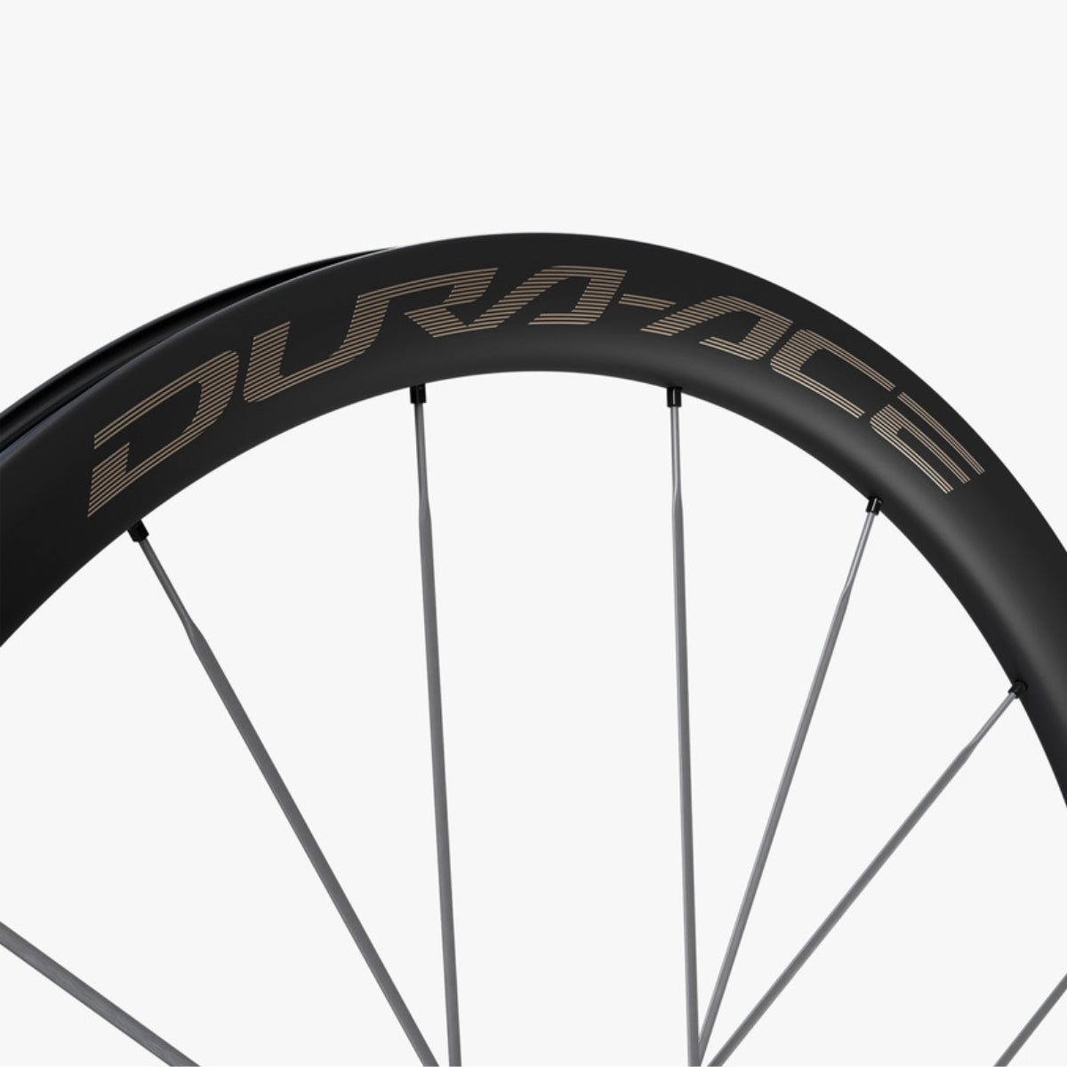 EWHR9370C36LFERED_product-image_4