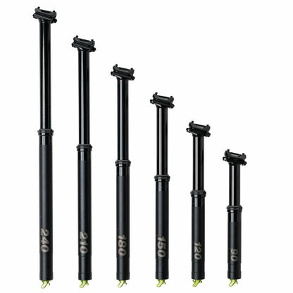 1C0969_variant-image_2