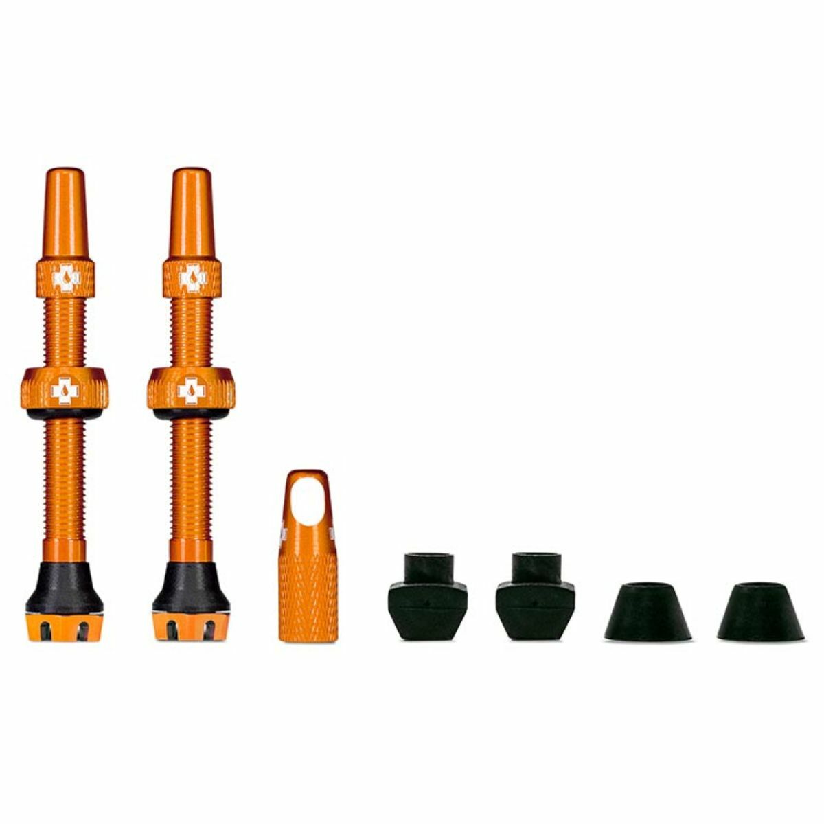 20421_product-image_1