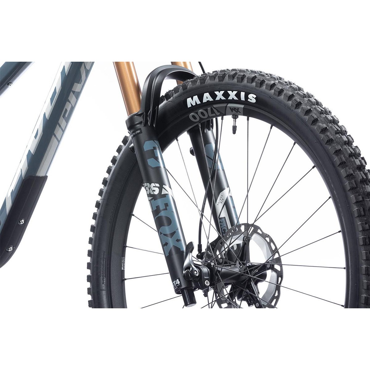 SHWCAT-PROXT-01-XS_variant-image_3