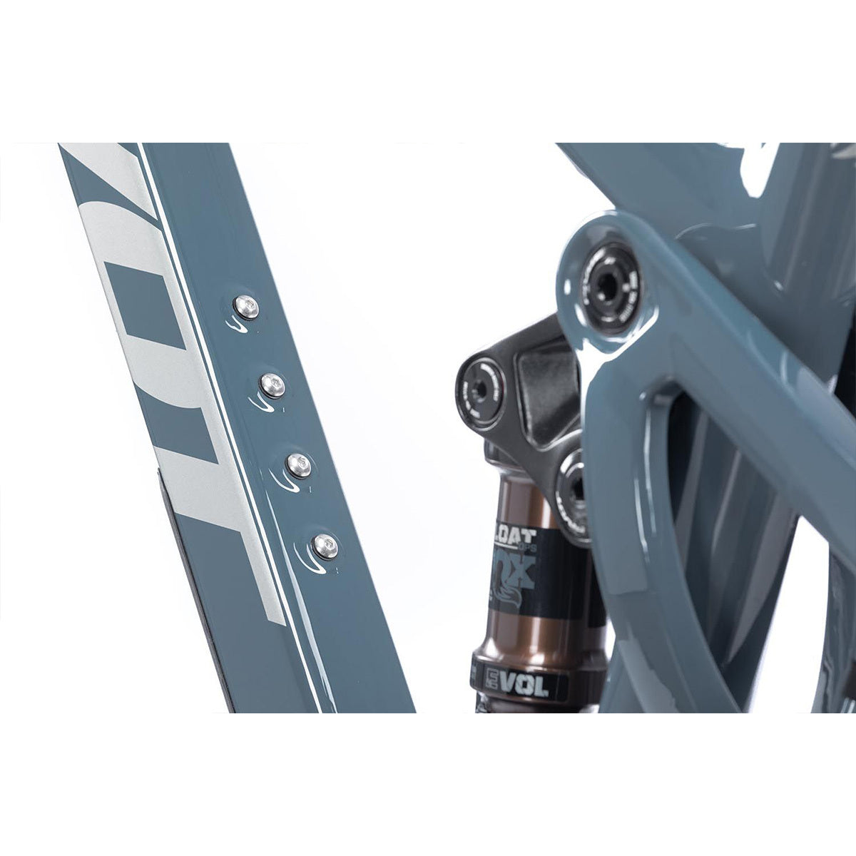 SHWCAT-PROXT-01-S_variant-image_4